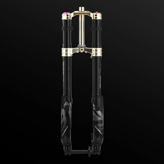 RFloXa Hawk31 Max (Gold)